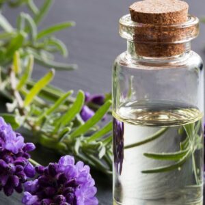 Lavender Oil| NosgOrgano