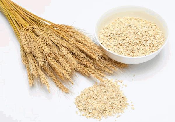 Wheat Germ Powder | NosgOrgano